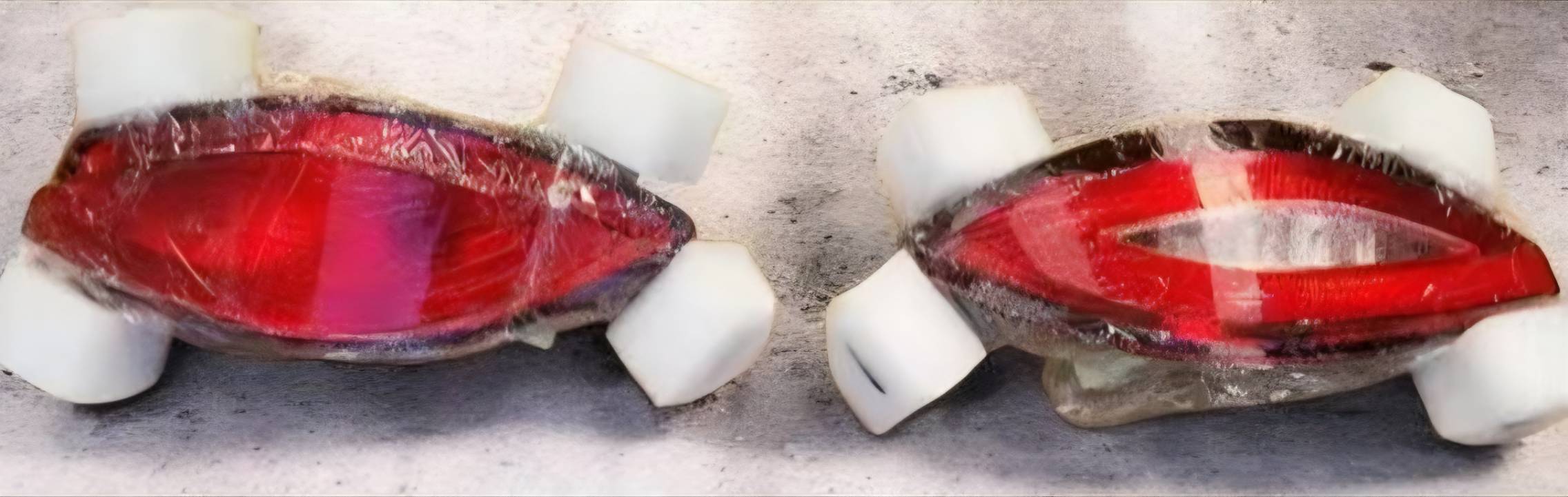 ไฟในกันชนท้าย ซ้าย , ขวา